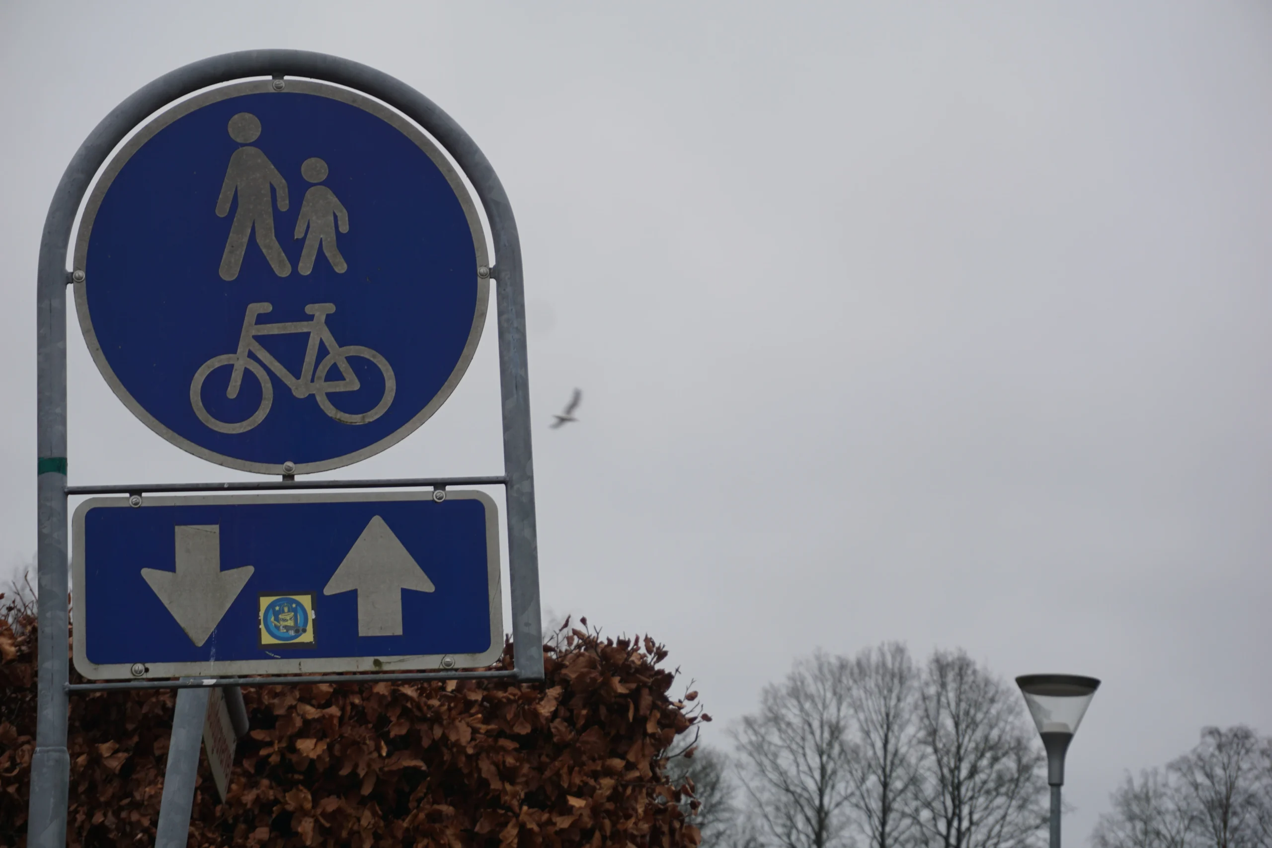 Køreprøve Aarhus Arslev